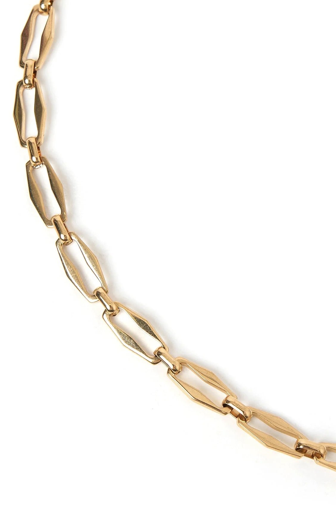 Leo Gold Necklace