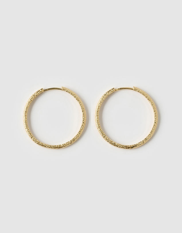 Sebastian Gold Hoop Earrings