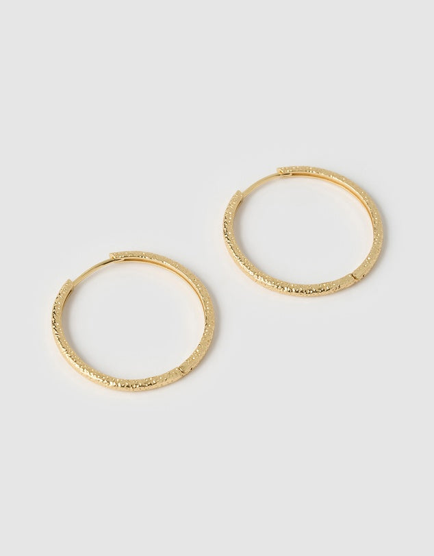 Sebastian Gold Hoop Earrings