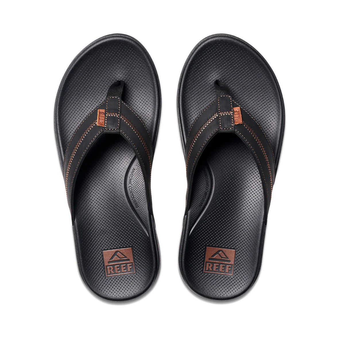 Cushion Phantom 2.0 LE Shoes - Black / Coffee