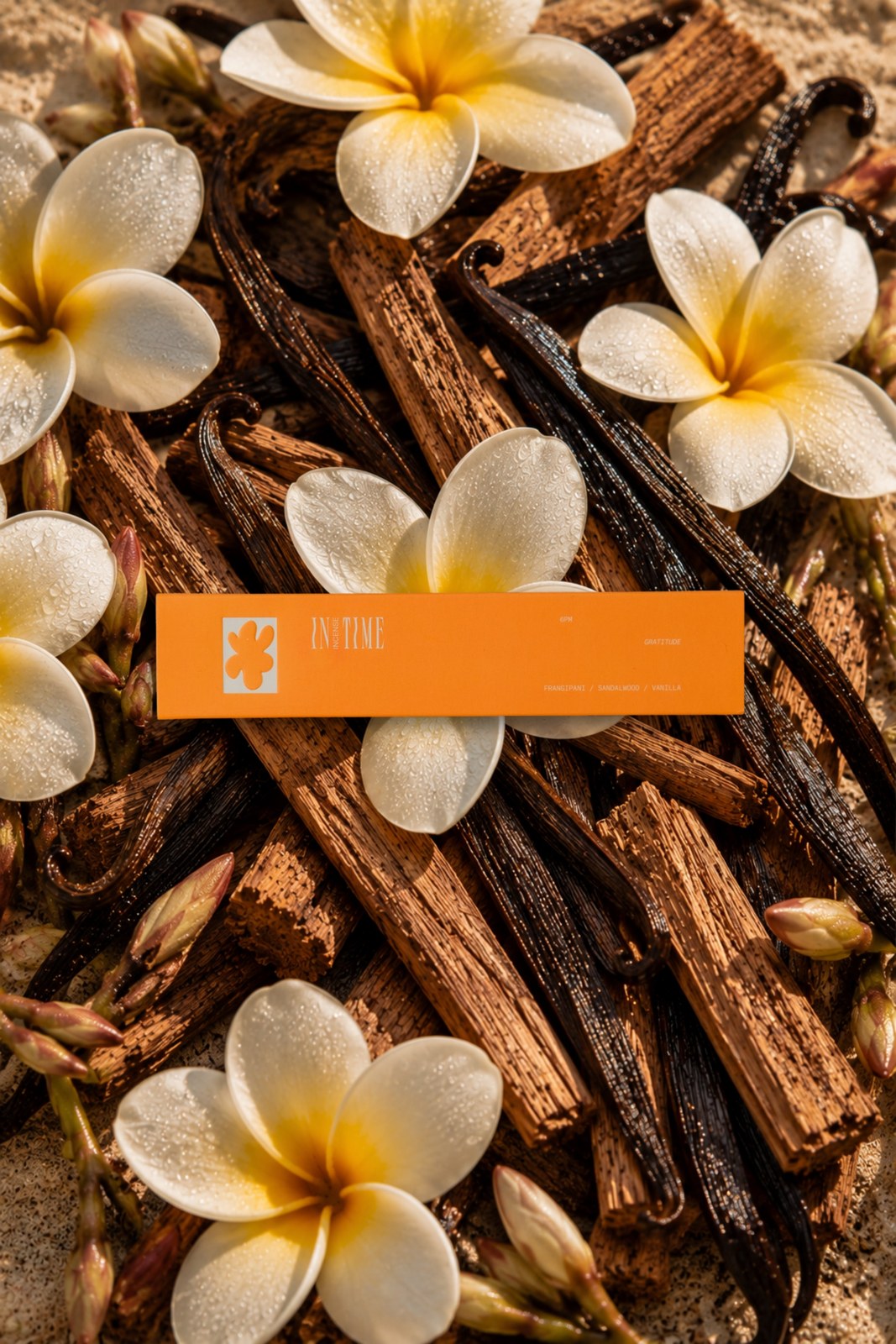6PM Gratitude Incense scent notes: Frangipani, Vanilla & Sandalwood