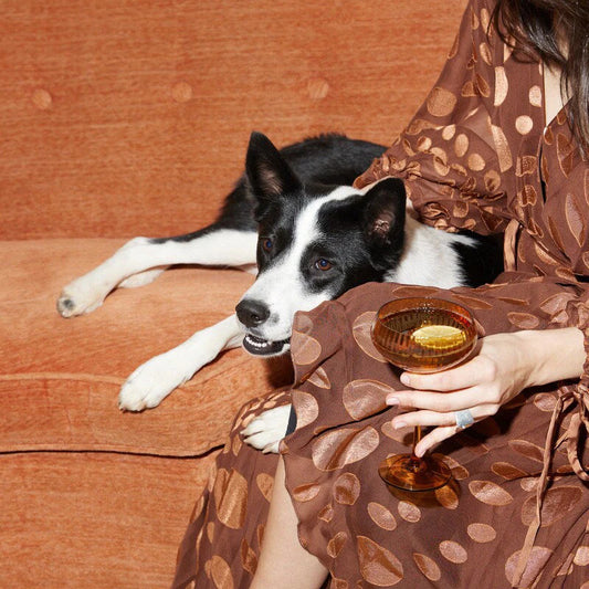 The Lou Coupe Glass - Set of 2 Amber