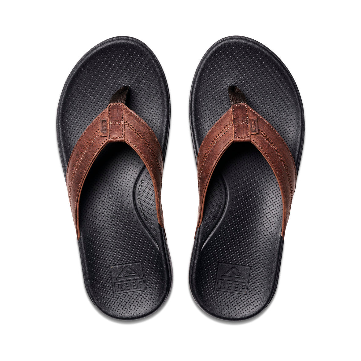 Cushion Phantom 2.0 LE Shoes - Black / Brown