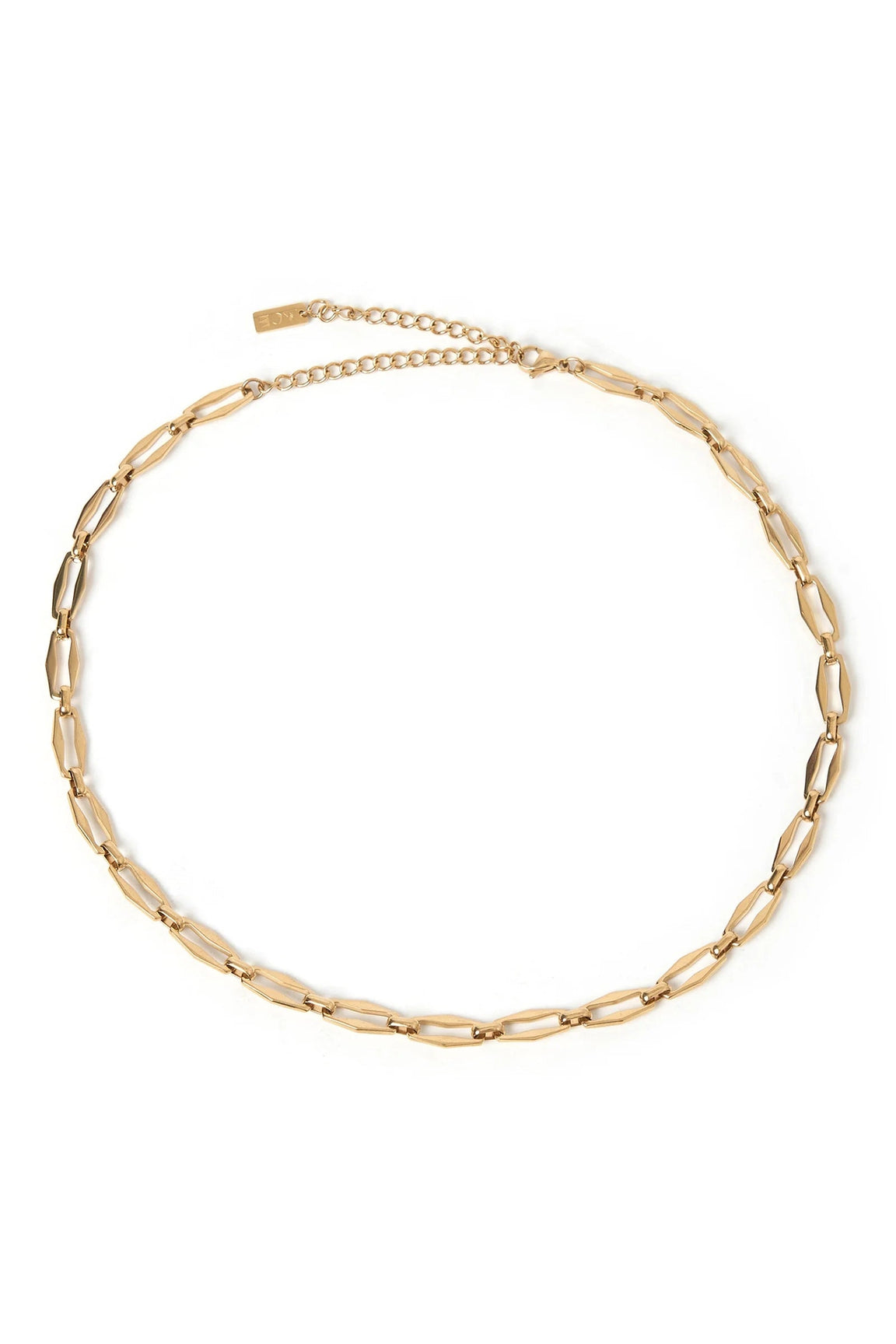 Leo Gold Necklace