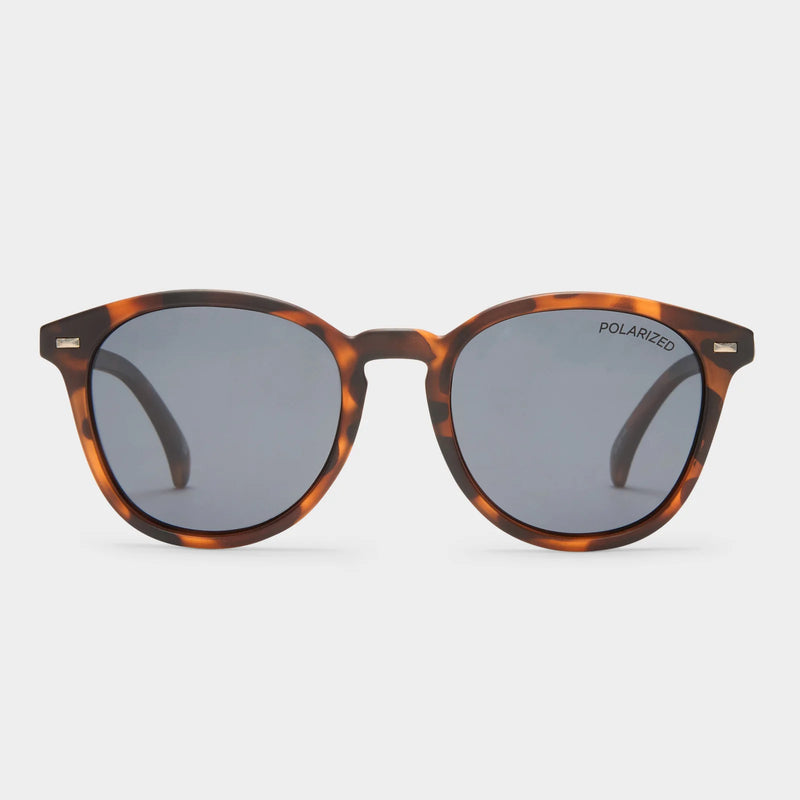 Bandwagon Sunglasses - Matte Tort