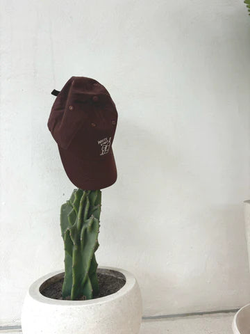Champagne Cord Cap - Brown