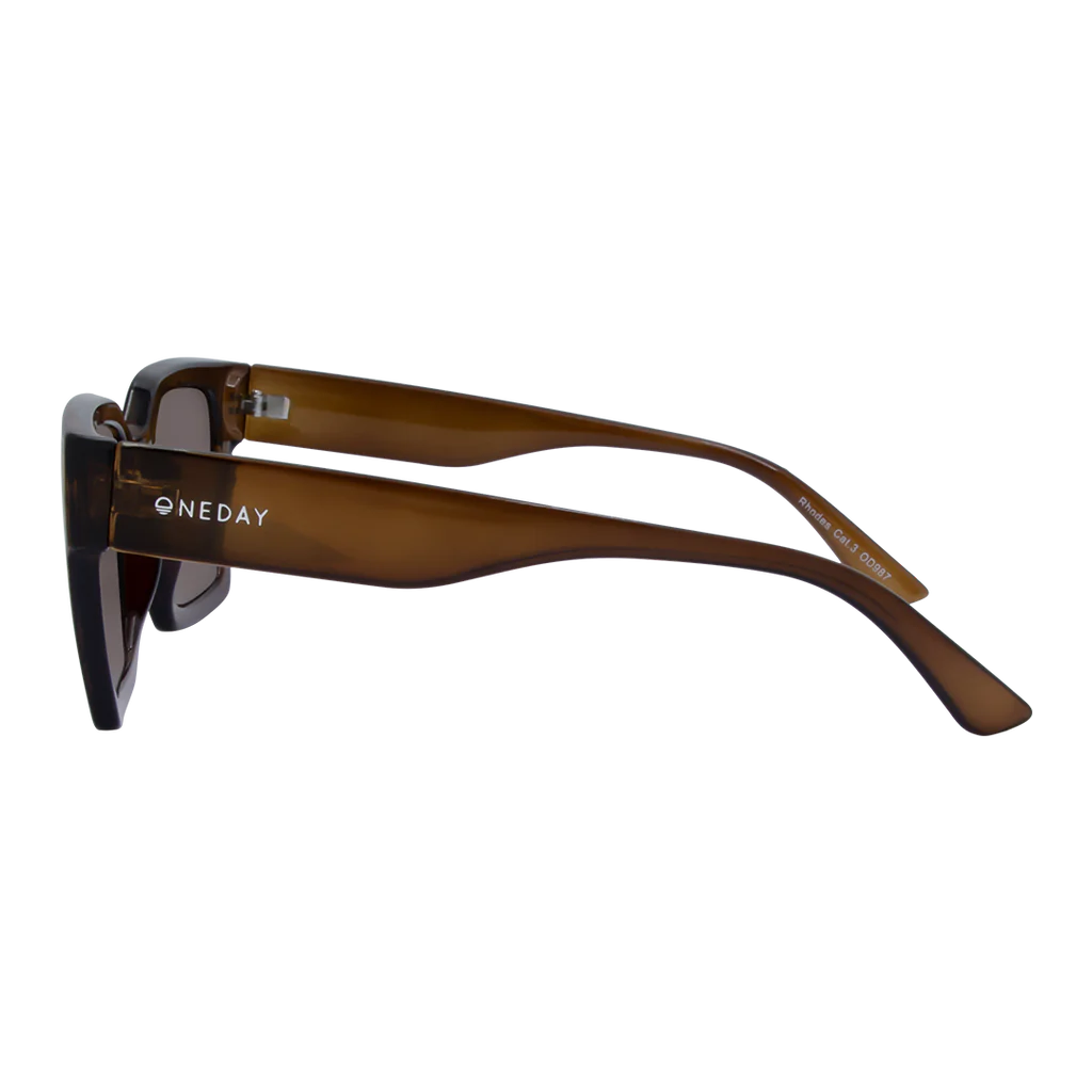 Rhodes Sunglasses - Brown Brown