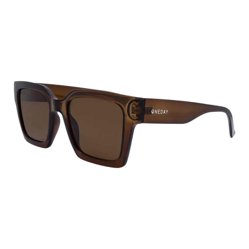 Rhodes Sunglasses - Brown Brown