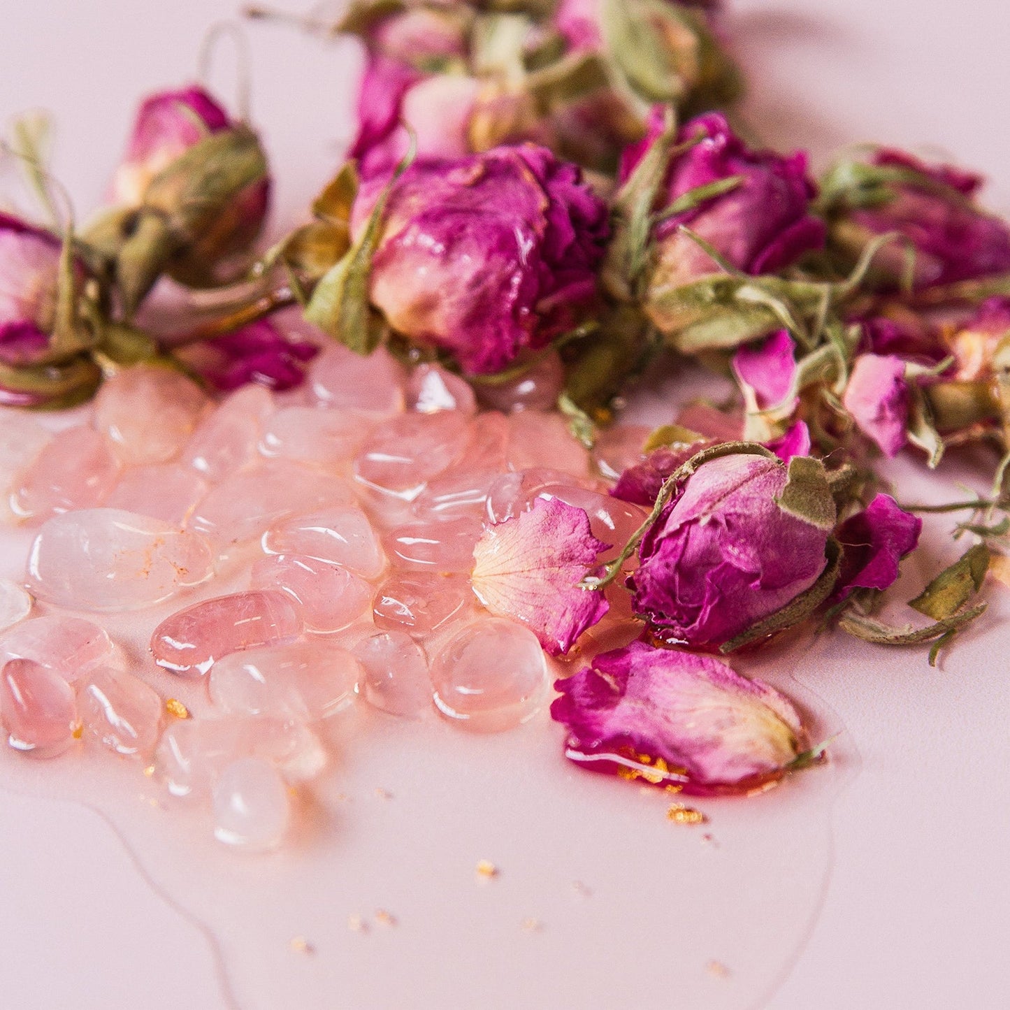 Face And Body Oil - Wild Rose
